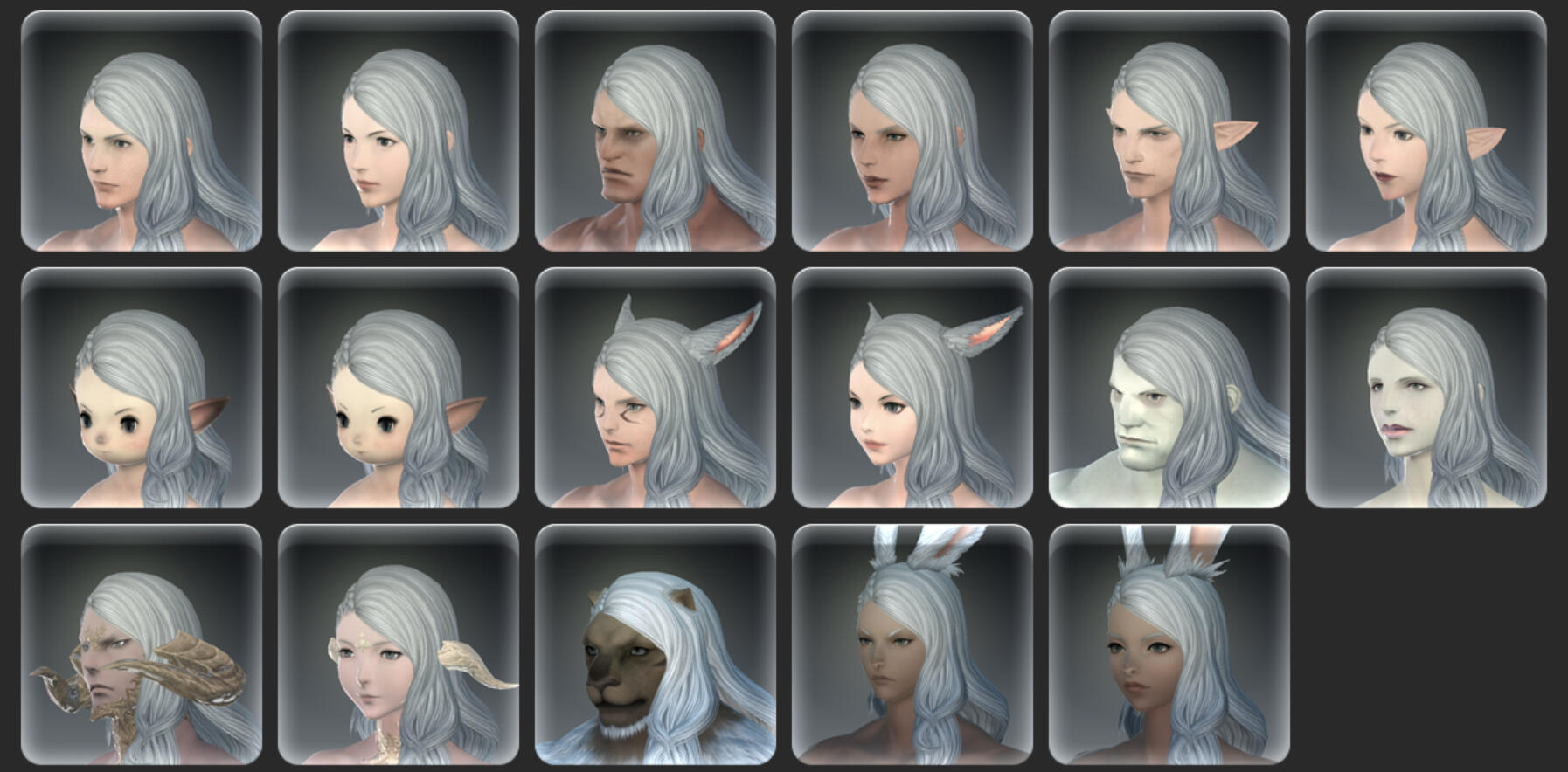 The Bold And The Braid